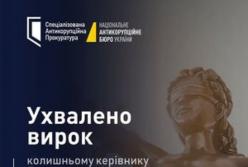 Колишнього очільника Держлікслужби засудили за недекларування маєтку