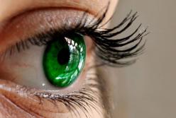 Медики нашли способ вернуть зрение слепым 