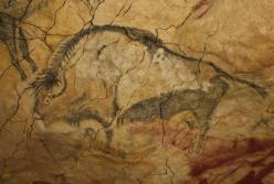 В пещерах Испании обнаружены 25000-летние гравюры животных