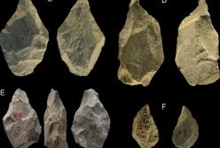 В Италии обнаружили инструмент, опередивший свое время на 100 тыс. лет (фото)