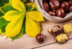 Названы народные средства для профилактики инсульта