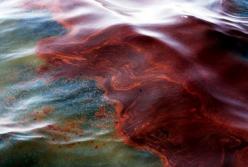 З російського узбережжя у напрямку Криму рухається десятитонна пляма з нафтопродуктами