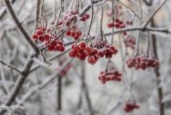 Грядет снежная буря: синоптики предупредили об ухудшении погоды в Украине