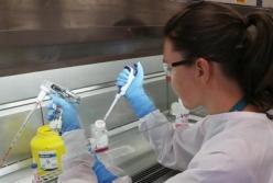 Украинскую вакцину от COVID готовятся испытывать на людях