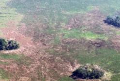 В лесах Амазонки нашли следы древней цивилизации