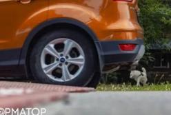 Парадокси паливного ринку: чому бензин в Україні не дешевшає разом із нафтою