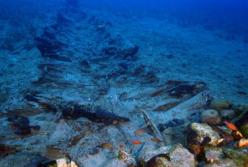 Китайские археологи обнаружили древние реликвии на судне, затонувшем около 800 лет назад