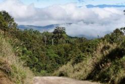 Резня в Папуа-Новой Гвинее: погибли десятки женщин и детей (фото)