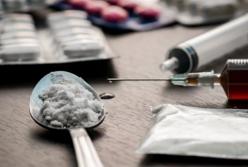 В Нидерландах нашли крупнейшую нарколабораторию в школе верховой езды