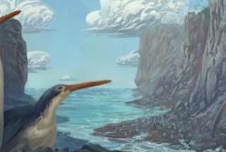 В Новой Зеландии обнаружили новый вид древнего гигантского пингвина