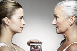 В Австралии создают "лекарство" от старения