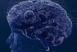 Victory Neurones запускає першу сертифікатну програму з когнітивних технологій в Україні