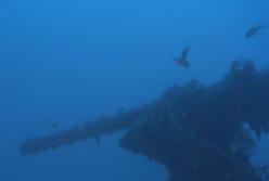 У берегов Мальты обнаружили пропавшую британскую подводную лодку (видео)