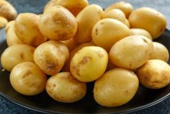 Медики рассказали о пользе картофеля