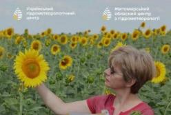 Агрометеорологія: як синоптики допомагають українському сільському господарству