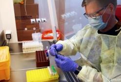 В Бразилии зафиксировали новый штамм коронавируса