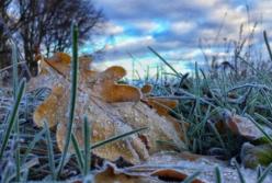 Дожди, снег и заморозки: синоптик дала прогноз погоды на ближайшие дни