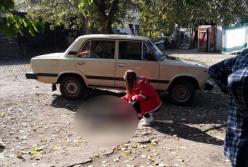 Под Николаевом пожилой водитель задавил свою мать