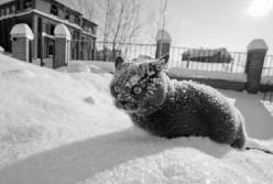 Синоптик сообщила, когда вернется тепло в Украину