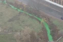 В Киеве река Дарница стала зеленой (фото) 