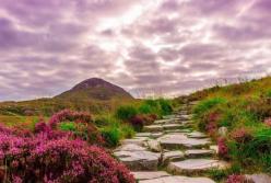 Ученые определили местонахождение древнего рая на Земле