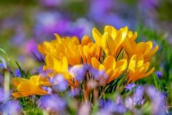 Прогноз погоды на 4 марта: местами до +20