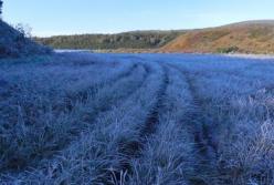 Прогноз погоды на 24 ноября: в Украине ожидаются сильные морозы и ветер