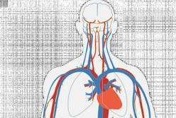 Кардиологи назвали внешние признаки атеросклероза