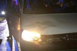 Во Львовской области пограничник насмерть сбил пешехода (фото)