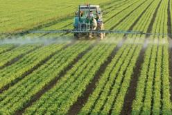 В Украине хотят внедрять органическое углеродное земледелие
