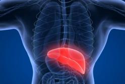 Медики назвали фактор, который увеличивает риск цирроза и рака печени