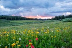 Прогноз погоды на 21 мая: грозы и дожди отступят