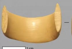 В Дании обнаружили кольцо времен каменного века