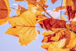 Синоптики сделали прогноз на октябрь