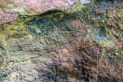 Археологи обнаружили в пещере изображения эпохи палеолита