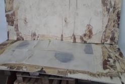 На Закарпатье обнаружили крупную партию наркотиков (фото)