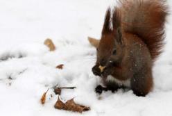 Прогноз погоды на 5 февраля: на Украину надвигаются атмосферные фронты