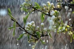 На майские праздники Украину накроют грозы