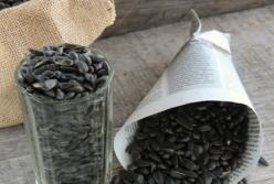 Медики рассказали, к чему приводит частое употребление семечек 