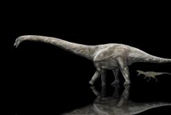 Ученые показали самого длинного динозавра