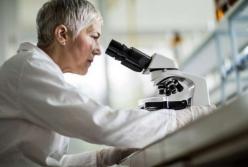 Ученые описали, как будут выглядеть люди будущего