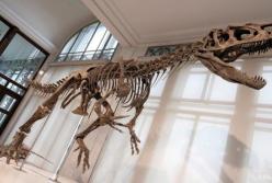 Ученые установили причину гибели динозавров
