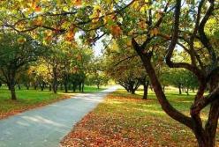 Какой будет погода в сентябре: синоптики дали прогноз