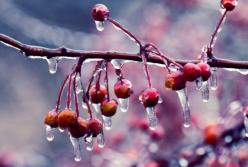 Прогноз погоды на 10 декабря: в Украине местами потеплеет до +11 градусов