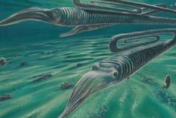 Найден живший веками древний организм