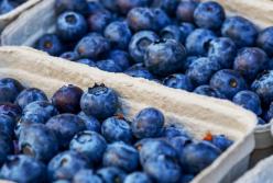 Медики назвали неожиданную пользу черники для здоровья