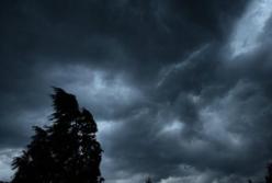 В Украине объявили штормовое предупреждение из-за сильного ветра