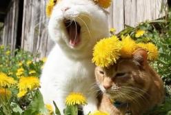 Прогноз погоды на 16 мая: на Востоке будет дождливо