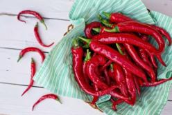 Медик назвал продукт, который предотвращает заболевания сердца, ожирение и рак