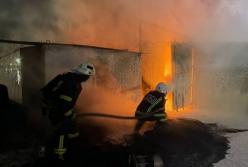 РФ атакувала Одещину дронами, спалахнули пожежі в порту та заповіднику (фото)